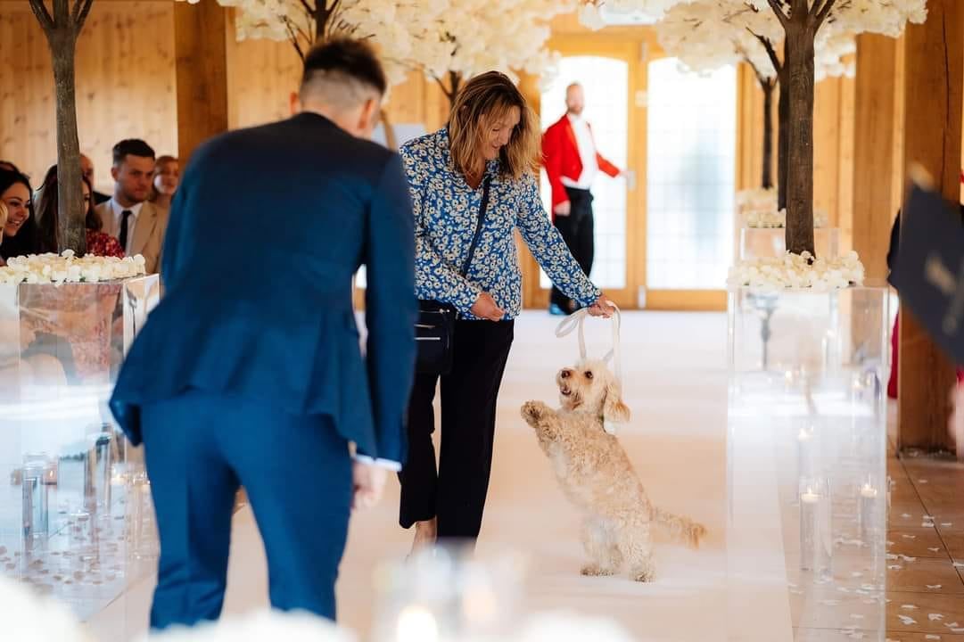 Let us take the lead, whilst you’re tying the knot! 